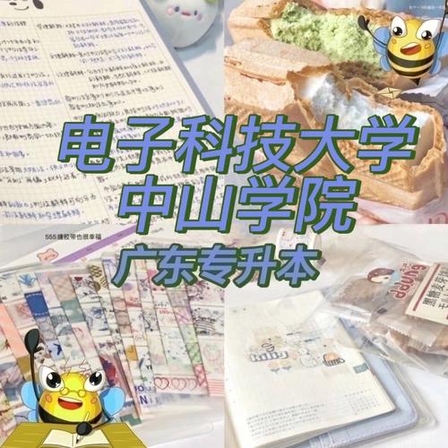 中山电子科技大学_中山电子科技大学专升本