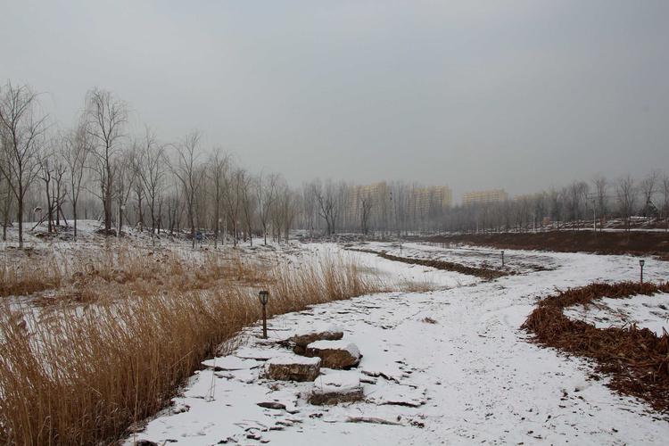 北京初雪来了_北京初雪一般是什么时候