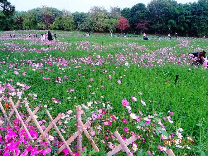 春暖花开地址_春暖花开哪里好玩